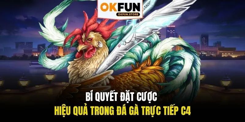 Bí quyết đặt cược hiệu quả trong đá gà trực tiếp C4