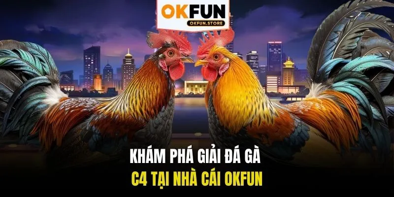Khám phá giải đá gà C4 tại nhà cái OKFUN